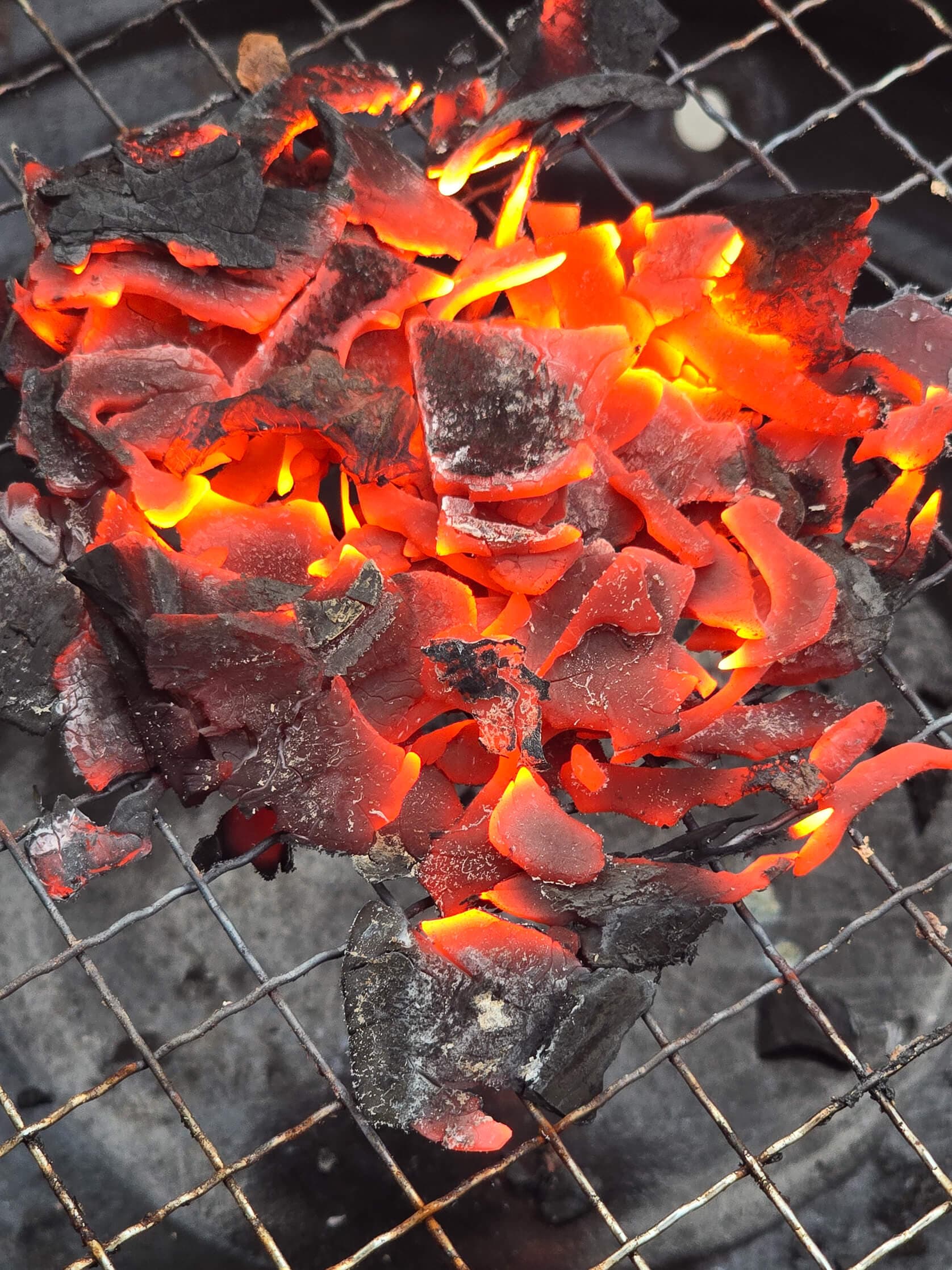 Industrial Coconut Shell